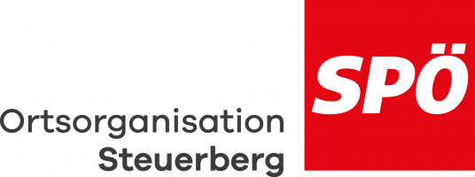 LogoSteuerberg_transparent_grau